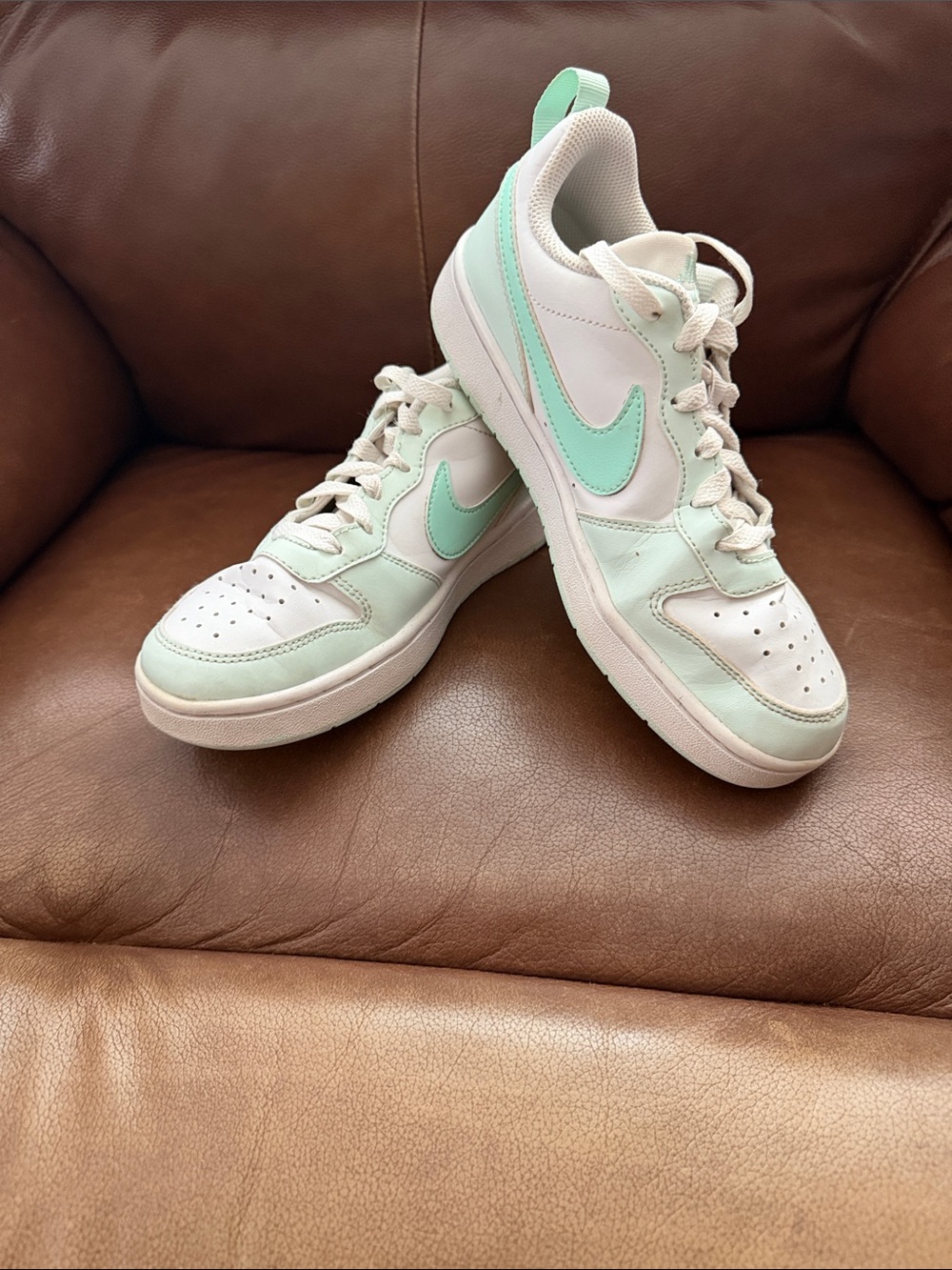 Nike Kids Mint Green & White Low-Top Sneakers